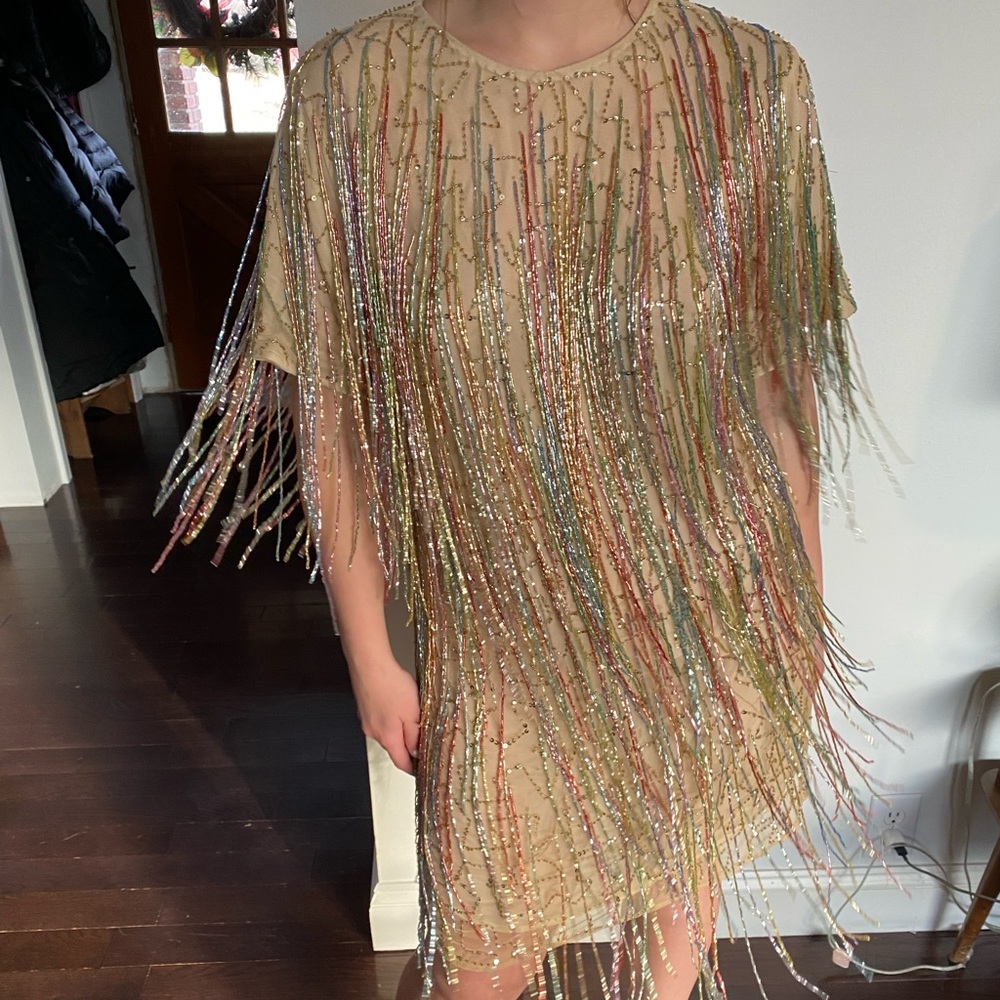 Beaded Fringe Dress! Perfect for TSwift!